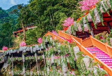 文旅品牌策划设计的秘诀，四个原则让你一目了然
