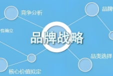 品牌战略规划的重要性、核心要素以及实施步骤，为企业提供有益的指导